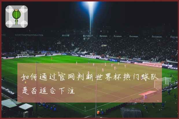 如何通过官网判断世界杯热门球队是否适合下注