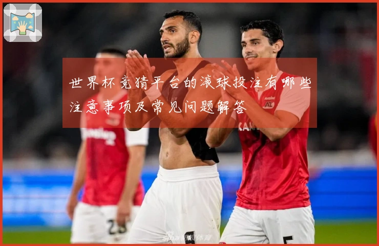 世界杯竞猜平台的滚球投注有哪些注意事项及常见问题解答