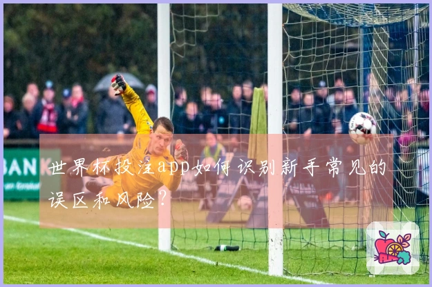 世界杯投注app如何识别新手常见的误区和风险？