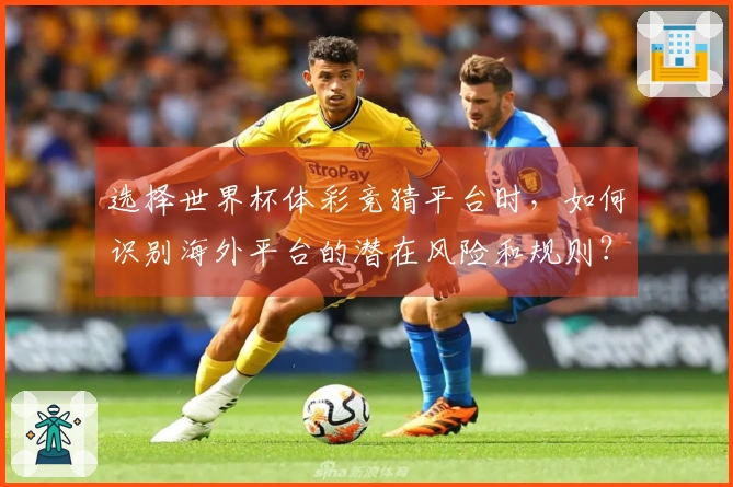 选择世界杯体彩竞猜平台时，如何识别海外平台的潜在风险和规则？